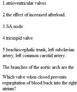 Quiz 2